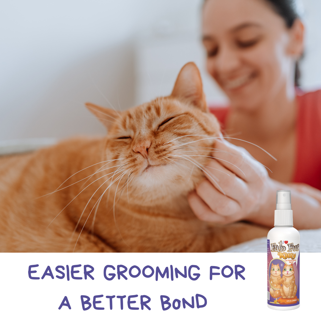 Pet MasterMind Fab Fur Kitty Cat Detangler Spray for Matted Hair, Best Cat Matted Fur Remover for Cats Who Like to Look Their Best, Cat Conditioner Spray for Grooming and Dematting, Premium Natural Ingredients, Unscented as Cats Prefer, 8 oz Bottle