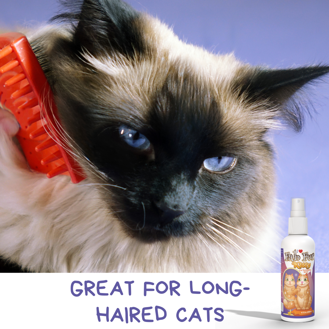 Pet MasterMind Fab Fur Kitty Cat Detangler Spray for Matted Hair, Best Cat Matted Fur Remover for Cats Who Like to Look Their Best, Cat Conditioner Spray for Grooming and Dematting, Premium Natural Ingredients, Unscented as Cats Prefer, 8 oz Bottle