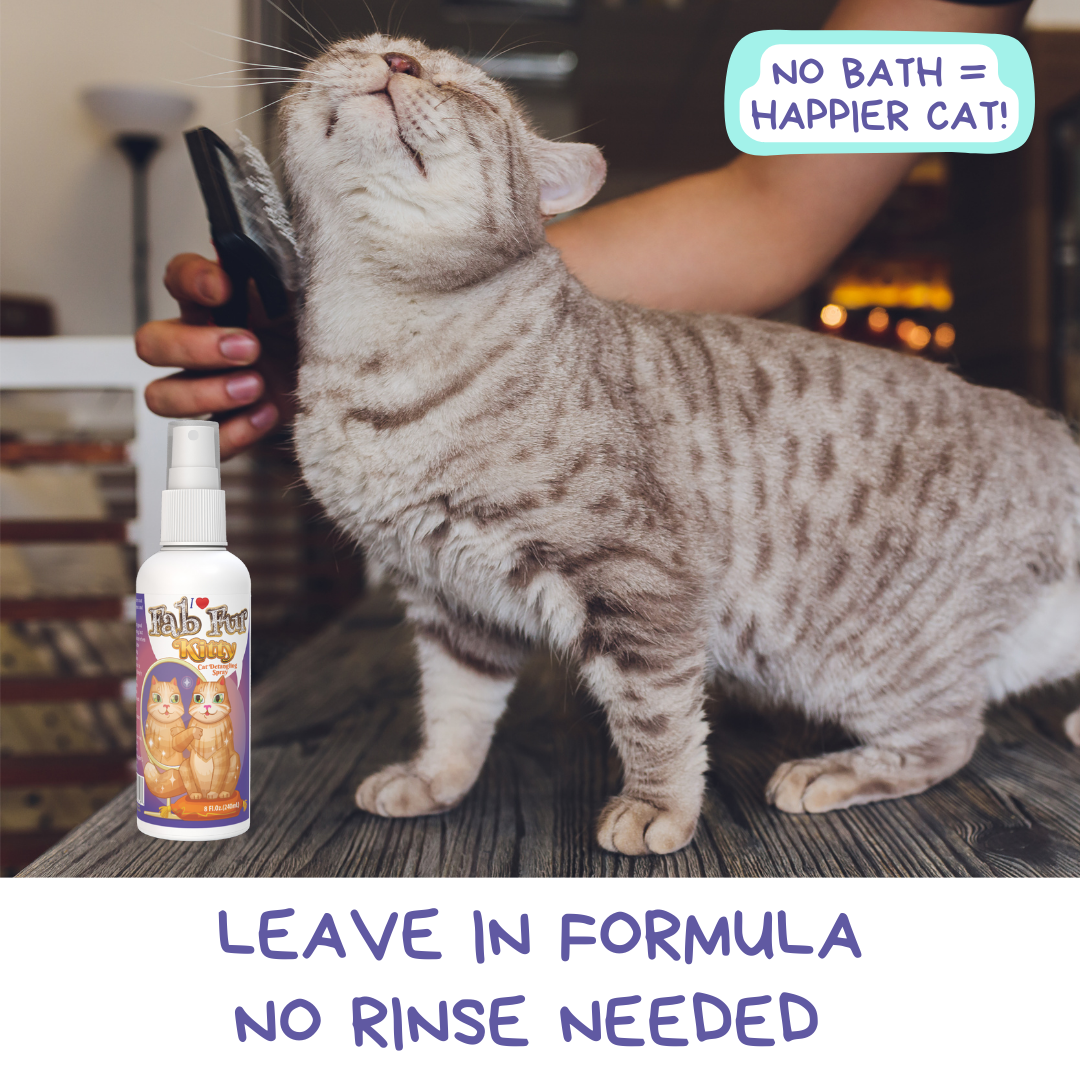 Pet MasterMind Fab Fur Kitty Cat Detangler Spray for Matted Hair, Best Cat Matted Fur Remover for Cats Who Like to Look Their Best, Cat Conditioner Spray for Grooming and Dematting, Premium Natural Ingredients, Unscented as Cats Prefer, 8 oz Bottle